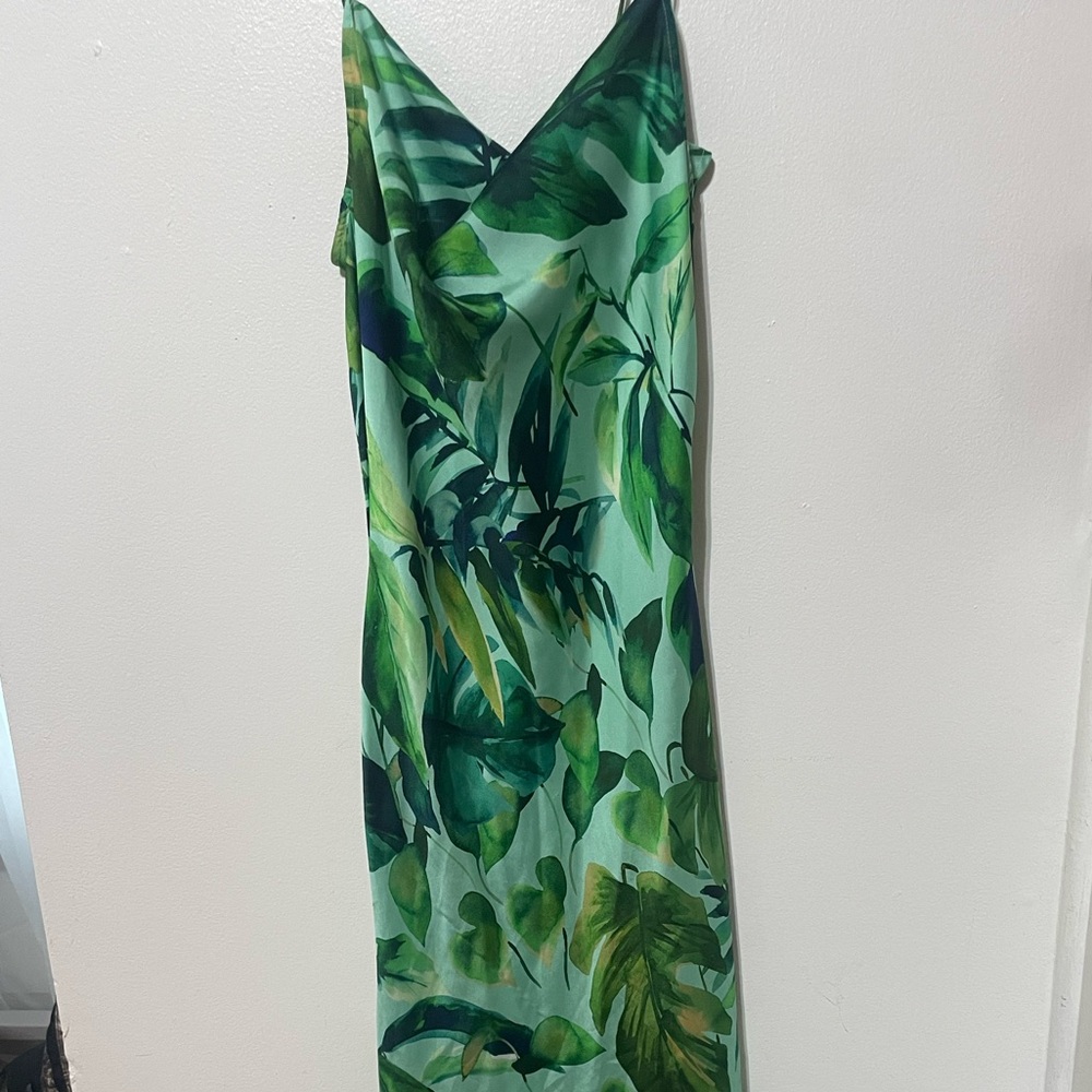 Zara dress